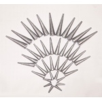 CHÌ NHỌN XUYÊN TÂM