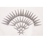 CHÌ NHỌN XUYÊN TÂM